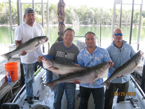 Nice Striped Bass